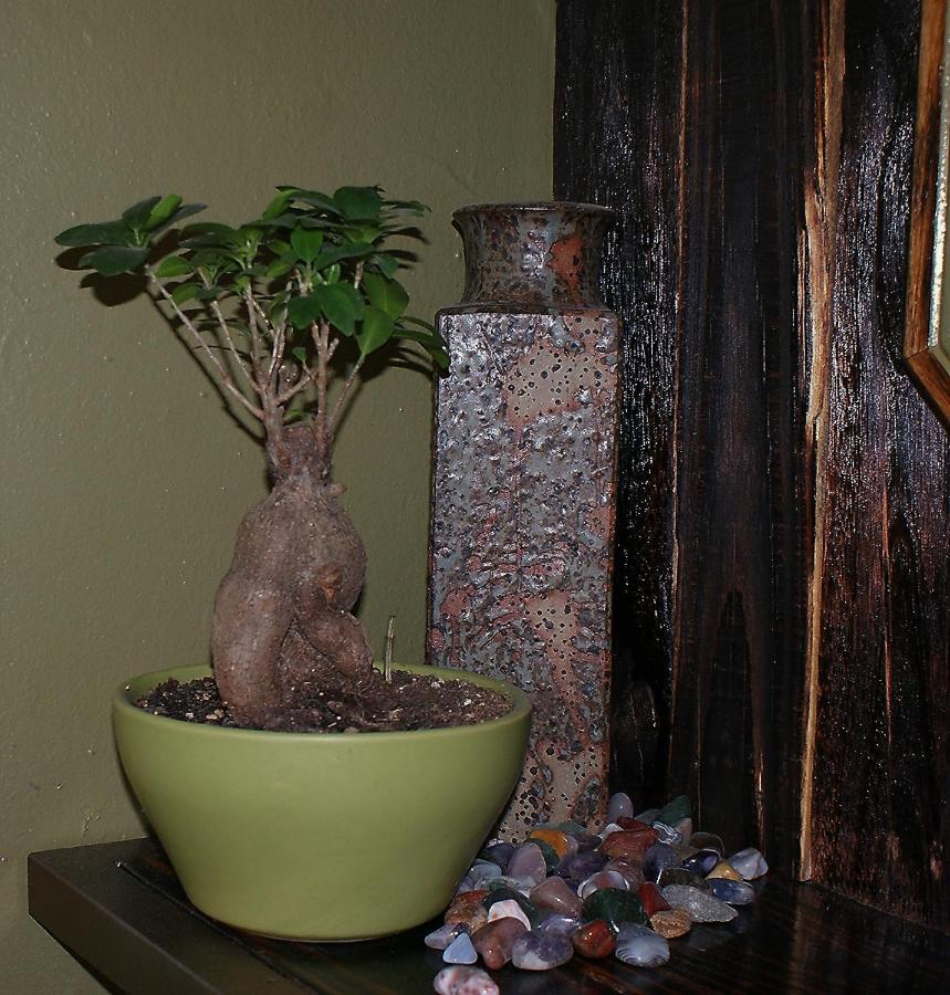 Ashtree Guesthouse Hanover Road Eksteriør bilde