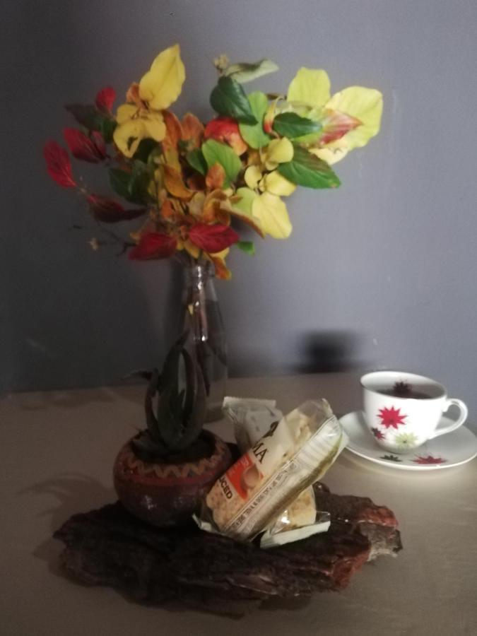 Ashtree Guesthouse Hanover Road Eksteriør bilde